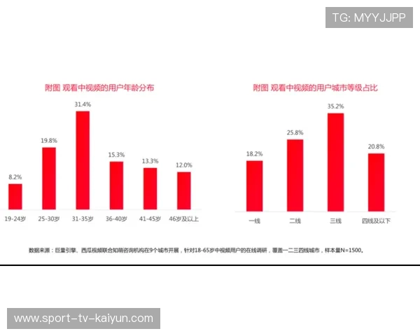 裁判职业化路径：法甲执法者的成长历程